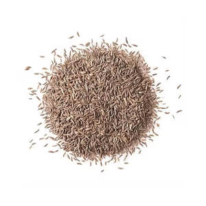 Huile de carvi biologique en vrac 100% pure naturelle au prix de gros en vrac - Product Image 3