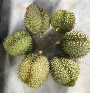 Monthong/Ri6 Pulpa de Durian Congelada/Fresca Premium, Fruta Tropical Entera/Carne, Calidad de Exportación de Vietnam a Precio Económico// ANNA DO - Product Image 1