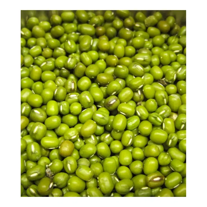 Whole Green Mung Beans from Viet Nam Exporter with the good price and premium quality