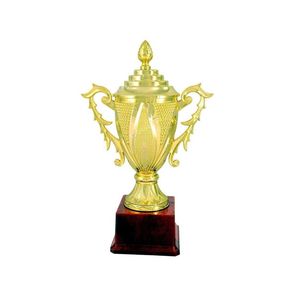 Coupe de trophée de cricket en métal haut de gamme, prix sportif de championnat, cadeau - Product Image 1