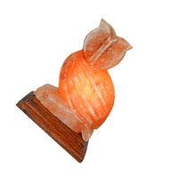 Lampe de sel de l'Himalaya naturelle sculptée à la main en forme d'animal, veilleuse pour la décoration de la maison et l'utilisation au bureau
