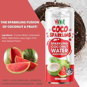 Eau de coco pétillante VINUT, réfrigérée, 320 ml, HALAL KOSHER, fabricant OEM ODM, étiquette privée, échantillon gratuit, potable, 24 mois - Product Image 4
