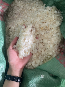 Écailles de poisson séchées du Vietnam, haute qualité, en gros, nettoyées, source naturelle pour engrais et aliments, 20kg/carton, meilleur prix abordable - Product Image 1