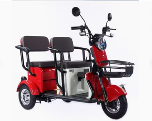 Triciclo Eléctrico de Alta Calidad para Adultos, de 3 Ruedas, para Ocio, con Cuatro Colores - Product Image 1