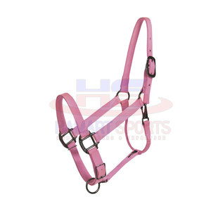 Licou cheval rembourré en cuir souple de haute qualité, sangle réglable, équipement d'équitation - Product Image 5