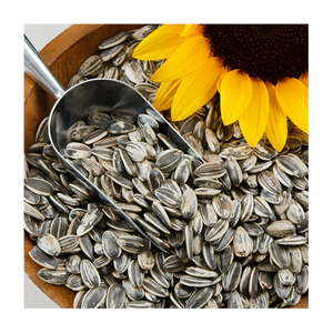 Graines de tournesol blanchies et séchées, type de culture courant, approvisionnement en vrac, vente en gros, prêt à l'exportation, haute qualité - Product Image 6