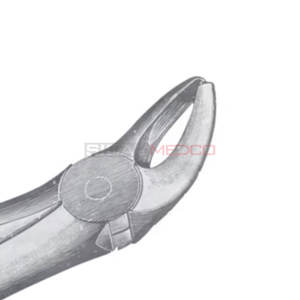 Fig. 10 Fórceps de extracción de dientes de diferentes tamaños Instrumentos médicos dentales Precio al por mayor Proveedor a granel - Product Image 2