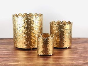 Maceta de oro de Metal con diseño en relieve decorativo moderno para uso en el jardín del restaurante doméstico a bajo precio - Product Image 6