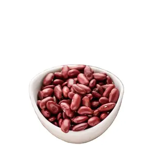 2024 produsen produk baru kacang merah organik ekspor kacang merah harga murah
