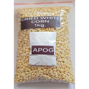 Maíz blanco sin OGM dulce y fresco para consumo humano estilo seco disponible para envío global rápido - Product Image 3