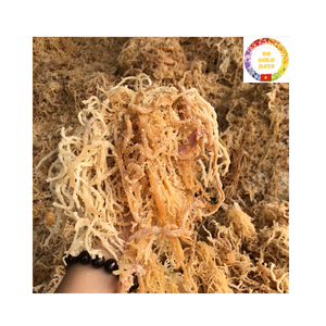 Wholesale Premium Wildcrafted Irish Sea Moss Natural Dried Golden Purple Seaweed From Vietnam <b>Supply</b> - Product Image 5