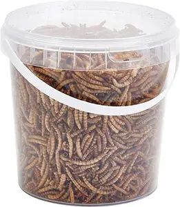 Kurutulmuş Mealworms mikrodalga kurutulmuş Mealworms bloodbloodsatılık/kuru köpek maması/mealfood pet gıda