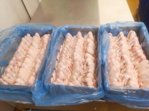 Alas de pollo congeladas/pollo congelado MJW/proveedores de alas de pollo brasileñas | Alas de pollo congeladas - Product Image 4