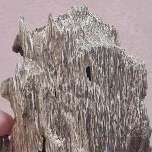 Experimente el aroma profundo y meditativo de Agarwood - Product Image 6