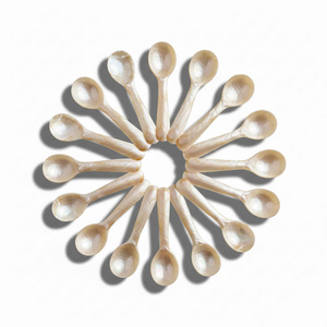Cuillère en nacre naturelle biologique, cuillère à caviar en nacre pour mariage, buffet, vaisselle, ustensiles de cuisine - Product Image 3