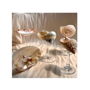 PREMIUM ARTISAN CONCH SHELL VERRE, LA MEILLEURE COUPE À VIN POUR UN DÉCOR D'ÉVÉNEMENT DE LUXE. - Product Image 4