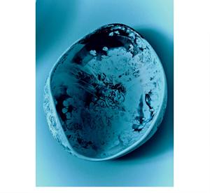 Tazón y Plato de Resina Ecológica de Color Personalizado, Vajilla para Fiestas, Apto para Lavavajillas - Product Image 2