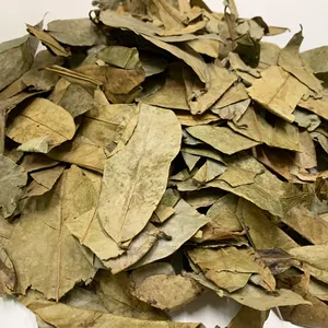 ชาพรีเมี่ยมทำจากใบทุเรียนเทศแห้งราคาถูก