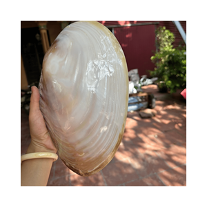 Plateau en nacre fabriqué à la main véritable surface de coquillage avec base en feutre pour anneau plat et boutique affiche, du Vietnam - Product Image 1