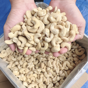 Vietnam Trusted Supplier W180 W240 W320 Cashew Nut In Shell 2025 <b>Vacuum</b> <b>Bag</b> Packing Cashew Nut Exported To Asia, Eu, Middle East - Product Image 1