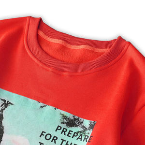 2025 gros hommes 100% coton sweats meilleur tissu personnalisé vêtements unis pour l'hiver sweats personnalisés - Product Image 6