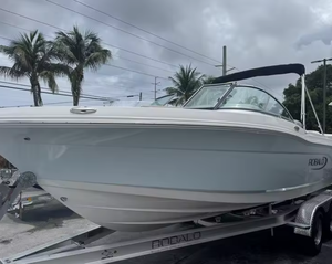 Bateau de travail sportif élégant R207, console centrale, remorque marine durable pour bateau de pêche, jet-boat, loisirs, famille, aventure, 20 pieds - Product Image 2