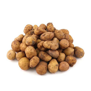 Precio de fábrica, patatas frescas, rojo y blanco, patatas dulces e irlandesas, listas para exportación, naturales, suministro a granel Premium NNow disponible - Product Image 4