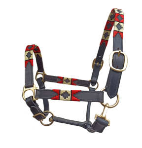 Licol en cuir réglable de haute qualité pour l'équitation en plein air, personnalisation multicolore acceptée, bride pour cheval - Product Image 6