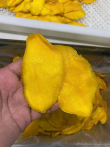Mangue séchée douce de haute qualité, fabrication vietnamienne, vente en gros, emballage en vrac - Product Image 5