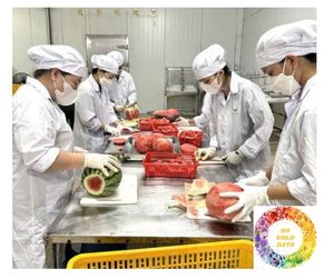 Pastèque congelée prête à l'exportation, fruit sucré IQF du Vietnam, pastèque congelée en vrac pour smoothies à des prix concurrentiels - Product Image 2