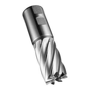 Fresa C247 DIN 844 K D.32mm 53mm, Hoja de Corte HSS-E-PM 30, Helicoidal, 6 Flautas - Product Image 1