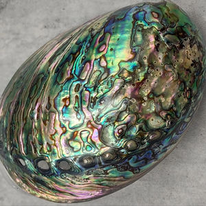 Concha de abulón natural Premium iridiscente y única para proyectos de fabricación de joyas y pedidos a granel de Vietnam - Product Image 1