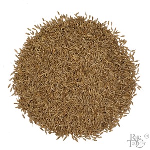 Qualité supérieure Offre Spéciale de qualité supérieure 100% Pure AD Graines de cumin d'épices simples crues séchées pour les acheteurs en gros - Product Image 4