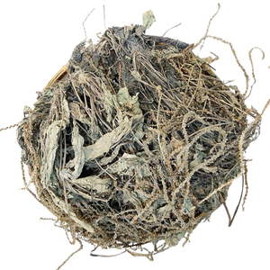 Planta de Plantago, Hojas y Tallos Secos Cortados, Hojas Enteras de Plantago Secas, 85g 1.95Kg, Proveedor de Plantago major, Vietnam - Product Image 1