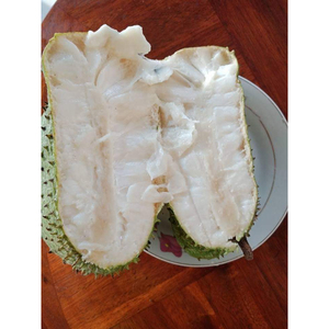 COUPES DE FRUITS DE GRAVIOLA CONGELÉS IQF | 100% NATUREL ET BIOLOGIQUE - Product Image 6