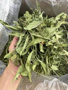 Venta al por Mayor de Fábrica, Hoja de Stevia Rebaudiana Seca de Grado A, 10 kg, Té Saludable en Flor, a Granel, de Ho Chi Minh City, Vietnam - Product Image 4