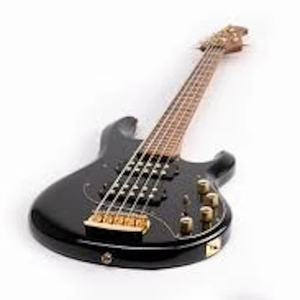 Bajo Eléctrico StingRay 5 Special HH de 5 Cuerdas, Nuevo, de la Marca Perfect Brand, con Diapasón de Arce y Ébano, Listo para Envío Mundial - Product Image 1