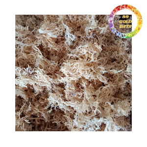 Algues marines séchées au soleil, soigneusement sélectionnées, pour usage alimentaire industriel |   Fabrication au Vietnam - Product Image 2