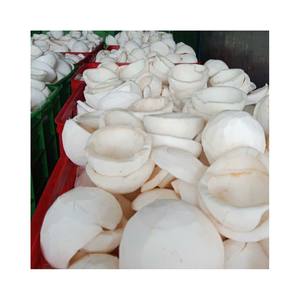 Carne de Coco Orgánica Congelada Fresca de Alta Calidad 100% Vietnam Proceso IQF Bajo Precio para Exportación Opciones de Empaque al Vacío a Granel - Product Image 1