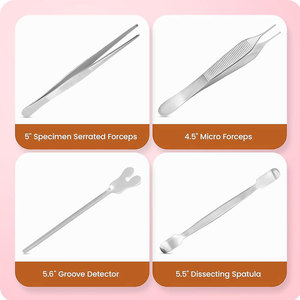 Kit de Dissection Professionnel en Acier Inoxydable – Instruments Multifonctionnels pour Botanique, Anatomie, Formation Médicale et Vétérinaire 2026 - Product Image 4