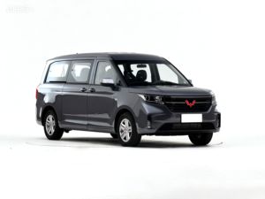 Wuling Zhengcheng 1.5T Manual 2021 - Product Image 3