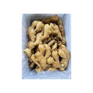 Jengibre para combatir los resfriados y la congestión nasal - Product Image 6