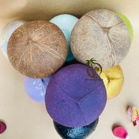 VENTE EN GROS COQUILLE DE NOIX DE COCO CREUSE POUR LA DÉCORATION BOULE DE NOIX DE COCO CREUSE AVEC MOTIF PERSONNALISÉ PEINT AU VIETNAM AU MEILLEUR PRIX