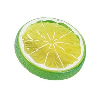 Yi Sugar Nieuwe Aanbieding Schijfjes Citroen Hars Miniaturen Platte Achterkant Charms Fruit Charms Hars voor Decoratie