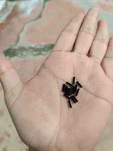 Pedido personalizado de piedras de ónice negro Zhizhi en forma de barra - Product Image 2