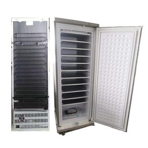 Fabricant de glace vertical 220V 198L 11 couches avec fabricant de blocs de glace solaire 65-70KG/jour Haute capacité pour usage commercial et industriel - Product Image 1