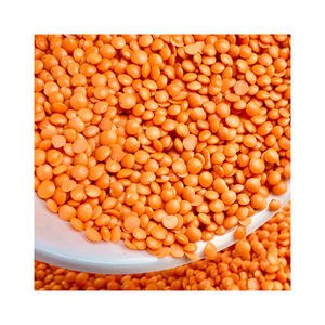 ถั่วแดงสไตล์ออร์แกนิกมาสุกออกแบบพรีเมี่ยม - Product Image 5