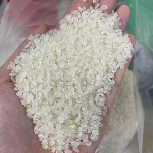 ข้าวนิ่มแห้งมีกลิ่นหอมสำหรับ2024เก็บเกี่ยวพืชผลแบบใหม่ (+ 84) 431 362 688 - Product Image 2