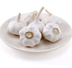 Resh-acrílico, - Product Image 1