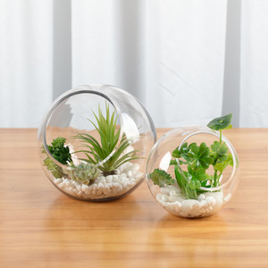 VBW6106 - Slant Bubble Bowl <b>Vase</b> - 5.5 - Product Image 5